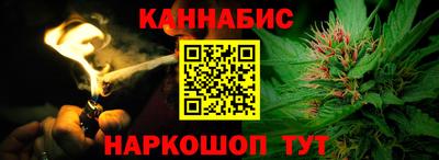 шишки Лесосибирск