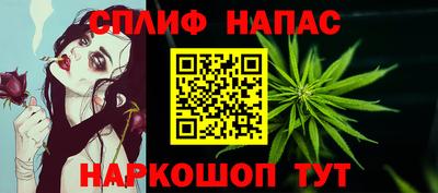 шишки Лесосибирск