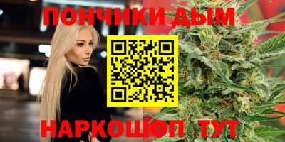 шишки Лесосибирск