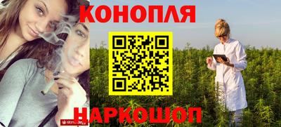 шишки Лесосибирск