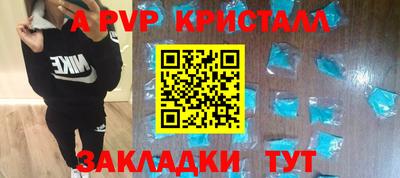 шишки Лесосибирск
